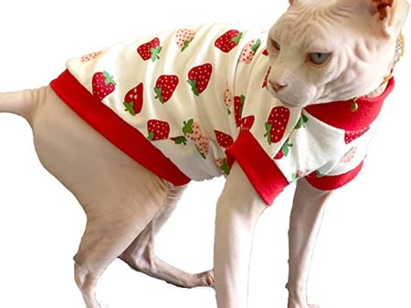 Sphynx Cat Summer Clothes Fashion