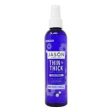 Jason Thin To Thick Extra Volume Hair Spray Hot on Sale