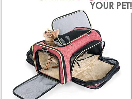 Titaj Portable Cat Carrier Discount