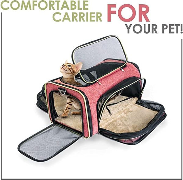 Titaj Portable Cat Carrier Discount