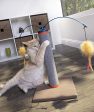 SmartyKat Scratch  N Spin Carpet Scratching Post Cat Scratcher Online