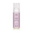 Rudolph Care By Andrea Rudolph Gentle Cleansing Foam on Sale