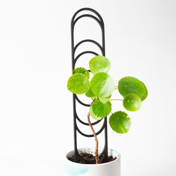 18  Black Moon Phase Trellis Hot on Sale