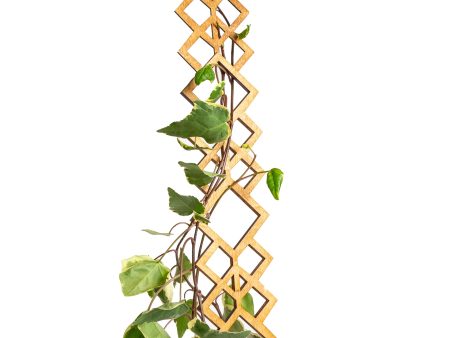 26  Pine Diamond Deco Trellis Discount