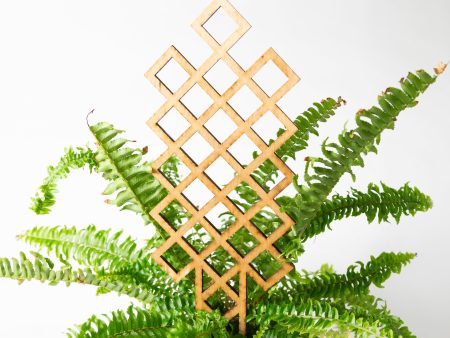 16  Pine Cross Hatch Trellis Sale