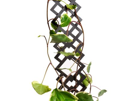 26  Black Diamond Deco Trellis Online