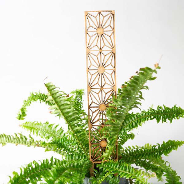 17.5  Starburst Panel Trellis on Sale