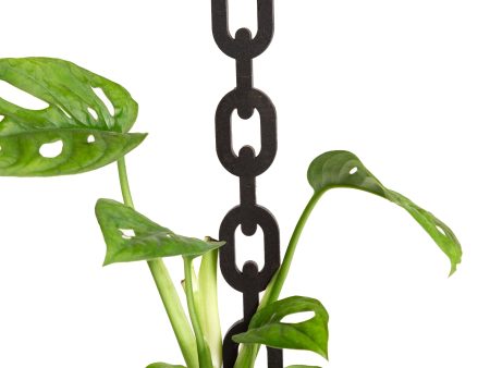 11  Classic Black Chain Link Trellis For Cheap