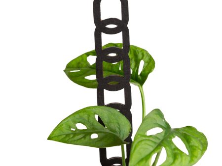 11  Oval Black Chain Link Trellis Online