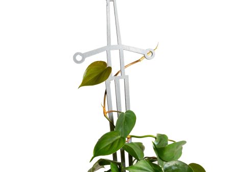 18  Silver Sword Trellis For Discount