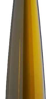 Trotamundos Single Vineyard Series Riesling Mountain Valle de Casablanca (Case only) Hot on Sale