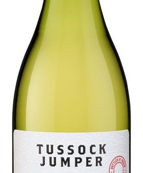 TUSSOCK JUMPER - SOUTH AFRICA CHENIN BLANC - SOUTH AFRICA 2020 (Case only) Discount