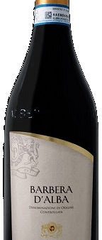 Terre del Barolo Barbera d Alba 2020 (Case only) Online