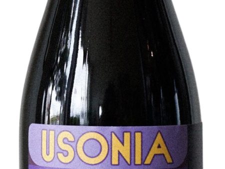 Usonia Cabernet Franc  Rasta Ranch  Finger Lakes 2021 (Case only) Online Hot Sale