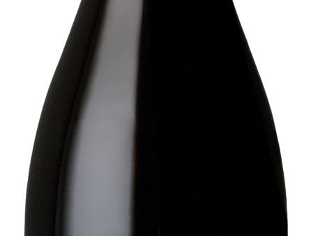 TECHNIQUE WINES TECHNIQUE PPV PINOT NOIR 2018 (Case only) Online now